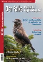 Der Falke - Journal fuer Vogelbeobachter 05/2024