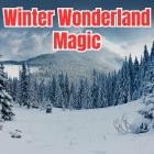 Winter Wonderland Magic
