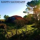 Roots Of Ascendant - Holy Beginning Is The End