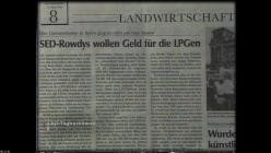 Petra Kelly Der Raetselhafte Tod Einer Friedensikone 2022 E02 GERMAN 1080P BLURAY AVC-UNDERTAKERS