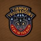 Turnpike Troubadours - A Cat In The Rain