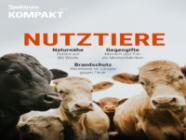Spektrum Kompakt 39/2025