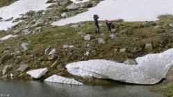 Heisszeit.-.Bedrohte.Natur.in.den.Alpen.GERMAN.DOKU.WS.HDTVRip.x264-Goodboy