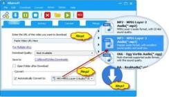 Allavsoft Video Downloader Converter v3.28.0.9225 + Portable