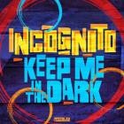 Incognito feat  Natalie Duncan - Keep Me In The Dark (Single Edit)