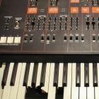 David Oblivion - Adrenaline Junkie