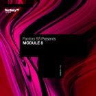 Various Artists - MODULE 8