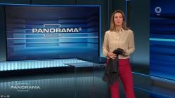 Panorama.2023-12-07.GERMAN.DOKU.HDTV.x264-ConNi