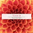 Team 18 - Team Eighteen