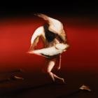 Maruja - - Pain To Power  