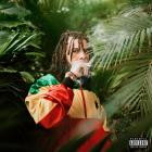 LE$ - Growth + Development