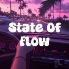 Voidzen Echo - State Of Flow