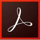 Adobe Acrobat Pro DC 2024.003.20112 (x64)