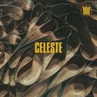 Holy Hive - Celeste