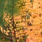 Akmuo - Atgimimas