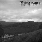 Dying raven - Dying raven