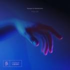 Banyan And Holochrome - Afterlife