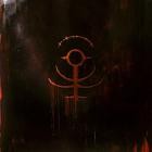 Despite Exile - Where Hope Goes To Die