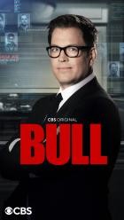 Bull - Staffel 5