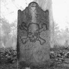 Blood For Blood - You're Gonna Have To Kill Me