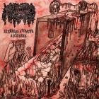 Mephitic Corpse - Sickness Attracts Sickness