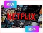 Pazu Netflix Video Downloader v1.6.8