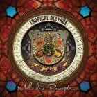 Tropical Bleyage - Melodic Perception