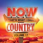 Now Thats What I Call Country Vol.17