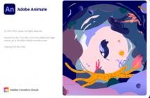 Adobe Animate 2022 v22.0.1.105 (x64)