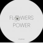 Stamina - Flowers Power