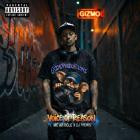 MC Article & DJ Views - Voice Of Reason