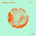 Wawda and Mulo - Modrina