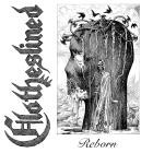 Clotheslined - Reborn