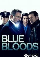 Blue Bloods - Staffel 8