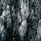 Aaron Schwarz - Parallel Motion