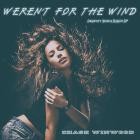Chase Winwood - Weren't for the Wind (Country Dance Remix EP)