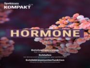 Spektrum Kompakt 06/2026