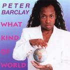Peter Barclay - What Kind Of World