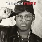 Steady B-The Essential Steady B-16BIT-WEB-FLAC-2015-SHHHHHH