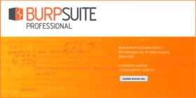 Burp Suite Professional 2022.3.7