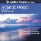 Joe Baker - Atlantic Ocean Waves (Nothing but the Pure Sound of the Surf