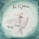 Foo Fighters - Today's Song