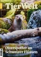 TierWelt 19/2025