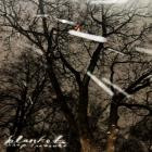 Shep Treasure - - Blanket  