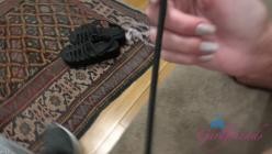 ATKGirlfriends.24.06.18.Addison.Vodka.POV.Sex.XXX.1080p.MP4-WRB