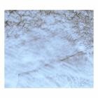 Luke Sanger & Joseph Myoushin Sanger - Exotopia