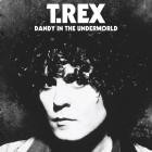 T  Rex - - Dandy In The Underworld (Super Deluxe Edition)  