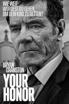 Your Honor - Staffel 2