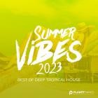 Summer Vibes 2023 (Best of Deep Tropical House)