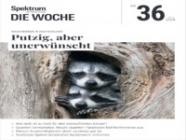 Spektrum Die Woche 36/2024